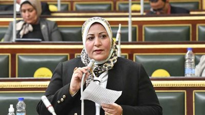 برلمانية لـ«هير نيوز»: المبادرات الرئاسية تسعى لتمكين المرأة اقتصاديا