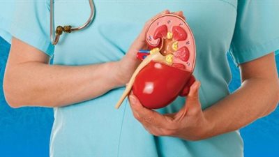 للصائمات.. أطعمة يجب تجنبها للوقاية من حصوات الكلى