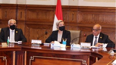 وزيرة البيئة لـ«الشيوخ»: أربعة محاور للقضاء على التلوث والحفاظ على الموارد