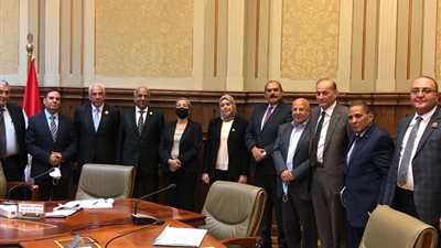 نواب بـ«الشيوخ» لوزيرة البيئة : هواء القاهرة ملوث.. والوزيرة ترد