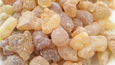 ينظم الدورة الشهري.. 10 فوائد مذهلة لتناول اللبان المر