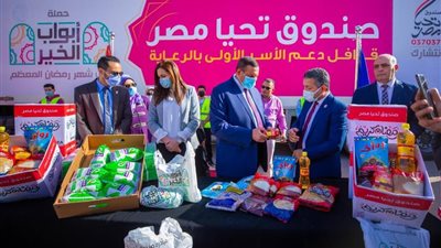 صندوق تحيا مصر: توزيع 33 ألف وجبة رمضانية على الأسر الأكثر فقرًا.. فيديو