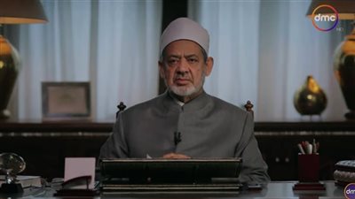 شيخ الأزهر: هناك محاولات مُستَمِيتة لمُساواة الأخ والأخت في الميراثِ