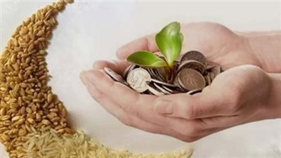 حُكم إخراج زكاة المال للمستشفيات.. لجنة الفتوى توضح الضوابط 