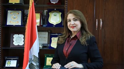 نائبة عن مبادرة إعمار غزة: مصر الداعم الأكبر لحقوق الشعب الفلسطيني