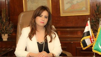 النائبة أمل رمزي: وقف إطلاق النار في غزة تتويج لدور مصر الريادي في المنطقة