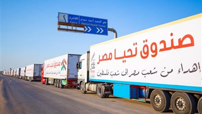بالصور.. قافلة صندوق تحيا مصر في طريقها لقطاع غزة