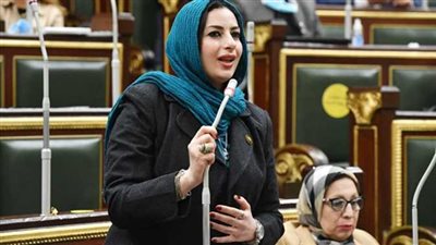 د. آيات الحداد تكتب مصر : الكنانة .. ونجاح السياسات الخارجية