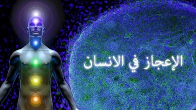 «وفي أنفسكم أفلا تبصرون».. الإعجاز في جسم الإنسان