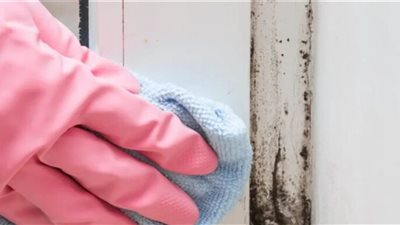 يُصيب أبناءك بأمراض خطيرة.. أستاذ بيولوجي يُحذر من عفن جدران المنازل