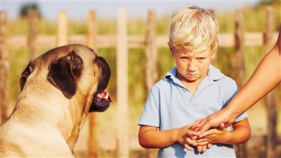 5 نصائح للتغلب على مشكلة خوف طفلك من الكلاب