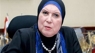 نيفين جامع: مشاركة المرأة في منظومة التنمية الاقتصادية هدفنا 