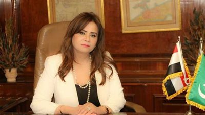  تعليق النائبة أمل رمزي على لقاء الرئيس السيسي بالأمير محمد بن سلمان بشرم الشيخ