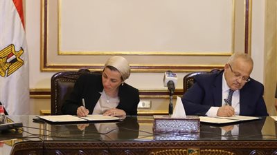 مناهج جديدة بالجامعات تؤهل الخريجين للوظائف الخضراء