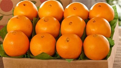 تفسير رؤية اللون البرتقالي في المنام للحامل والعزباء والمتزوجة 