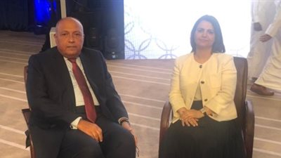 وزير الخارجية يلتقي نظيرته الليبية اليوم بالقاهرة