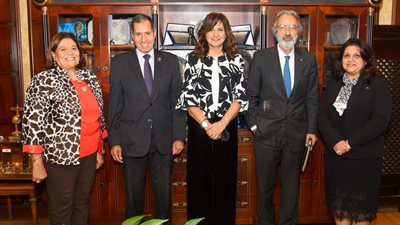 وزيرة الهجرة تناقش احتياجات إفريقيا الطبية مع لجنة الصحة بالشيوخ