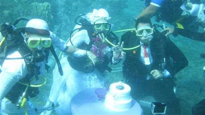 «زفاف بين الشعاب المرجانية».. عروسان يقيمان حفل زواجهما تحت الماء في البحر الأحمر