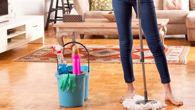 أفضل طريقة للتخلص من الذباب والصراصير.. وتحذيرات من الأقراص الطاردة للناموس