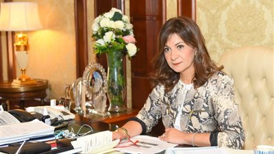  الهجرة تتيح استمارة تسجيل للمصريين الراغبين في العودة العالقين بالإمارات 