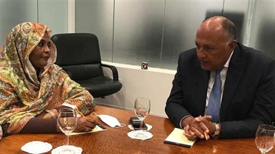 تحركات دبلوماسية مكثفة بعد بيان إثيوبيا الاستفزازي لمصر والسودان.. خبير: لدينا خيارات ولاينطلي علينا الخداع 