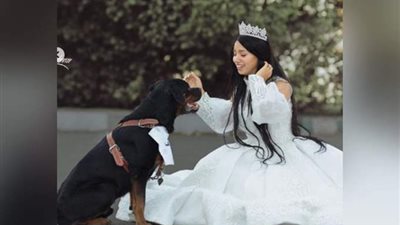 أحدث تقاليع المشاهير.. العروسة «بلوجر» والعريس «كلب»!