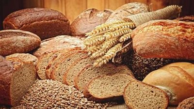 «القومي للغذاء» يكشف معلومة مهمة عن الحبوب والخبز والنشويات