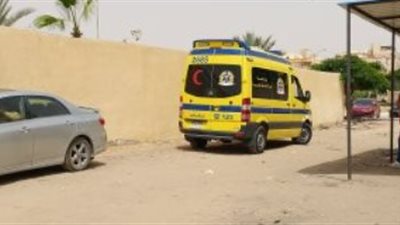 مصرع طفلة وإصابة 2 آخرين صدمتهم سيارة بمنطقة قصر النيل