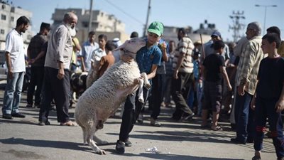 نختلف عن العالم.. قيادية فلسطينية تروي أجواء العيد في غزة