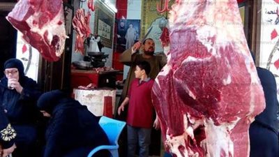 الطحال أولًا.. 