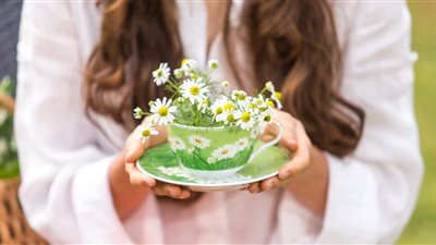 مضاد للحساسية.. 5 فوائد صحية لشاي البابونج للنساء 