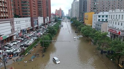 شيخ الأزهر: مستقبل البشرية في خطر حقيقي