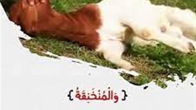 آية وعبرة.. ما هي المنخنقة والموقوذة والمتردية والنطيحة؟