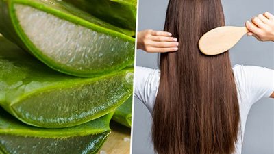 لشعر قوي.. 3 وصفات من الصبار لعلاج التساقط والجفاف 