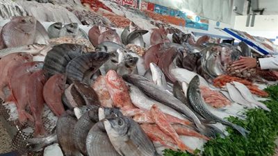 دراسة تؤكد.. السمك يحمي مرضى السكري من خطر الإصابة بالقلب