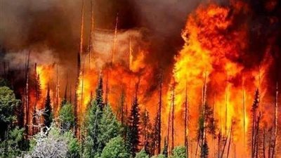 «بفعل فاعل».. الوكالة الفضائية الجزائرية تُبريء المناخ من حرائق الغابات