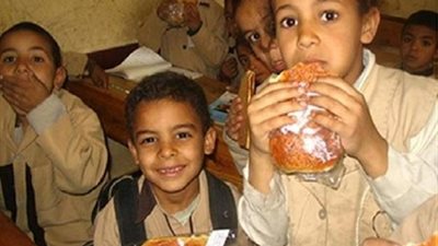 عضو الشيوخ: الاهتمام بالتغذية المدرسية ينجح منظومة التعليم