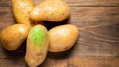 البطاطس ذات القشرة الخضراء: صالحة للأكل أم سامة؟