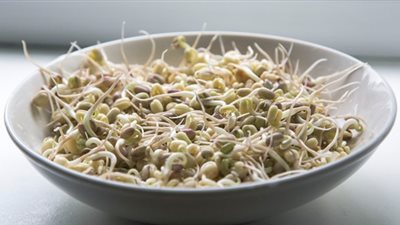 الحلبة المنبتة والفول النابت.. 9 فوائد صحية مذهلة للقلب والعين والشعر