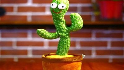 الصبارة الراقصة في عيون الفتيات.. مونيكا: «هموت واشتريها» ومريم: «تفاهة بنات»