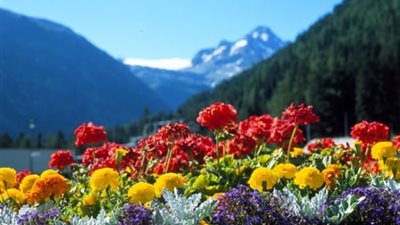  صباحك مع هير نيوز |  يسعد صباحك يا حلو لفيروز.. اسمعي