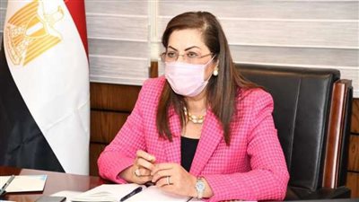 التخطيط: 43 مليار جنيه استثمارات لقطاع الكهرباء خلال 21/2022