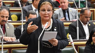 النائبة عبلة الألفي تطالب بإنشاء وزارة للأسرة بعد واقعة اختطاف طفل الغربية