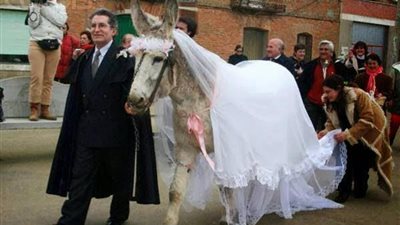 أغرب خمس زيجات في العالم... الأخيرة عجيبة جدًّا