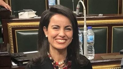 «المجلس القومي» يُهنئ ماريان أمير لرئاسة اللجنة التنسيقية 