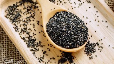 هل تُساعد بذور الشيا على إنقاص الوزن حقا؟