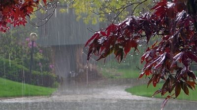 تفسير حلم المطر للعزباء والمتزوجة