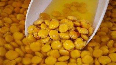 بعيون دامعة.. بائعة الترمس في رحاب السيدة 