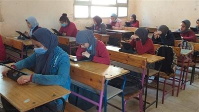 خبير تربوي يكشف لـ هير نيوز أسباب تفوق البنات على البنين دراسيًّا 