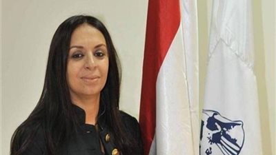 مايا مرسي: حملات 